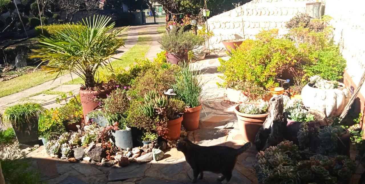 Rheola'S Guest Cottage Harrismith Exterior foto